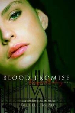 Richelle Mead Blood Promise обложка книги