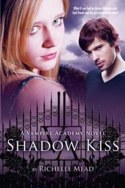 Richelle Mead Shadow Kiss обложка книги