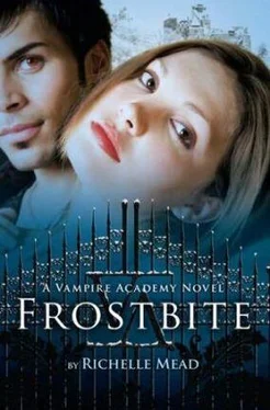 Richelle Mead Frostbite обложка книги