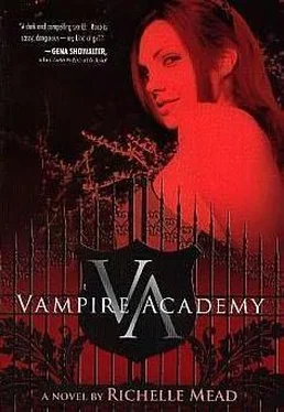 Richelle Mead Vampire academy обложка книги