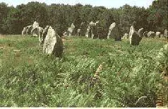В лесистой местности встречаются также каменные круги и каменные - фото 165