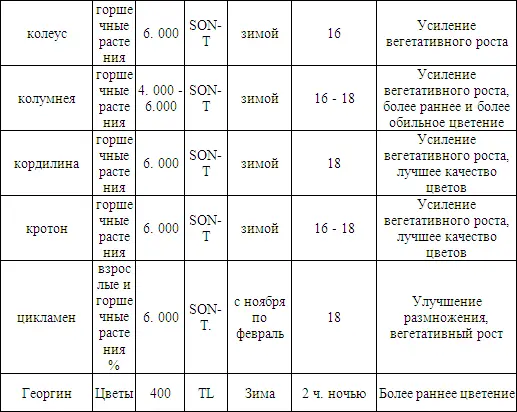 Плоды и овощи - фото 6