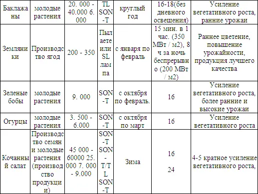 Зимой все усилия направлены на получение наибольшей освещенности в теплице - фото 11