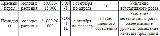 Зимой все усилия направлены на получение наибольшей освещенности в теплице - фото 12