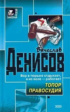 Вячеслав Денисов Топор правосудия обложка книги