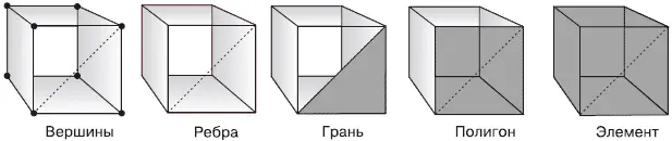 Рис 51Структура сетчатой поверхности присваиваемой по умолчанию Polygon - фото 150