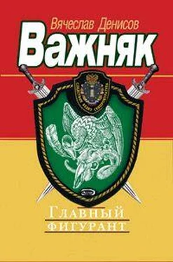 Вячеслав Денисов Главный фигурант обложка книги