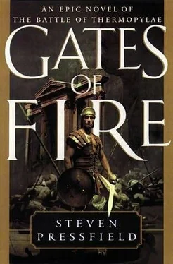 Steven Pressfield Gates of Fire: An Epic Novel of the Battle of Thermopylae обложка книги