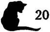 Cat Seeing Double - изображение 21