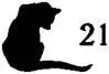 Cat Seeing Double - изображение 22