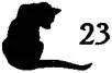 Cat Seeing Double - изображение 24