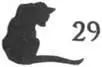 Cat Seeing Double - изображение 30