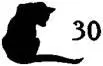 Cat Seeing Double - изображение 31