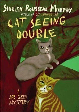 Shirley Murphy Cat Seeing Double обложка книги