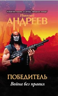 Николай Андреев Пятый уровень.Война без правил обложка книги