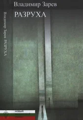 Владимир Зарев - Разруха