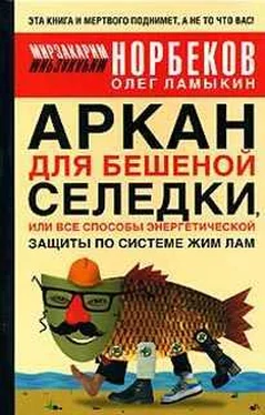 Мирзакарим Норбеков Аркан для бешеной селедки, или Все способы энергетической защиты по системе Жим Лам обложка книги