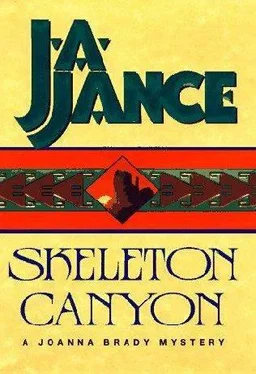 J. Jance Skeleton Canyon обложка книги