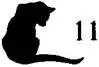 Cat Spitting Mad - изображение 12