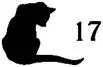 Cat Spitting Mad - изображение 18