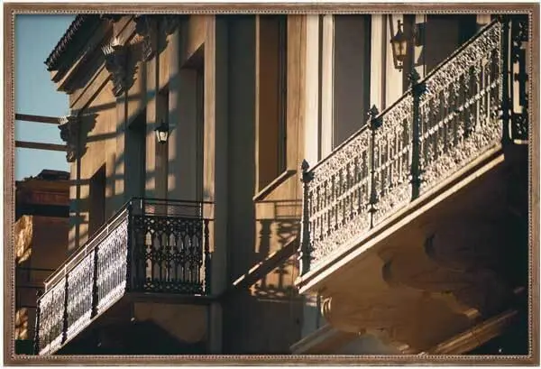 Ivan SmukShutterstock рамка В течение следующих нескольких дней Антигона - фото 107