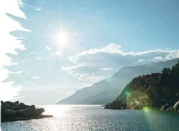 ZoneFatalShutterstock перья Мы все вскрикиваем когда она падает в море - фото 117
