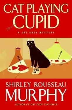 Shirley Murphy Cat Playing Cupid обложка книги