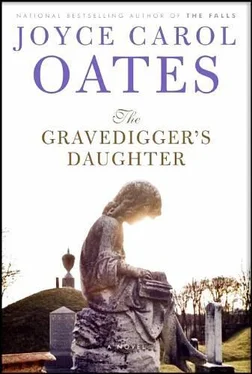 Joyce Oates The Gravedigger’s Daughter обложка книги
