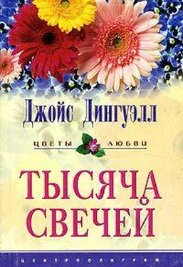 Джойс Дингуэлл Тысяча свечей обложка книги