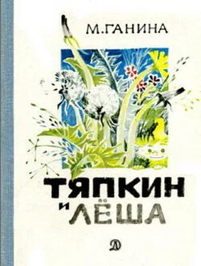 Майя Ганина Тяпкин и Лёша обложка книги