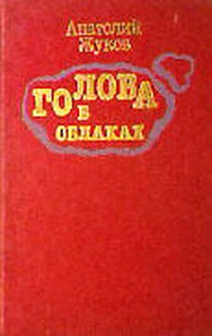 Анатолий Жуков Голова в облаках обложка книги