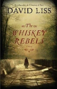 David Liss The Whiskey Rebel обложка книги