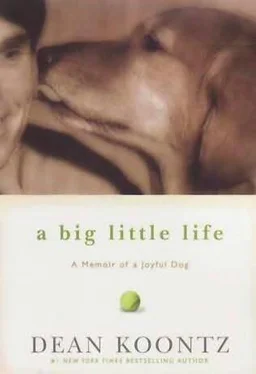 Dean Koontz A Big Little Life: A Memoir of a Joyful Dog обложка книги