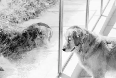 II life before trixie WE WERE NOT fortunate enough to have always lived in - фото 4