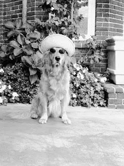 V if she could talk shed do standup comedy NOT LONG AFTER Trixie came to - фото 7