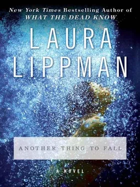 Laura Lippman Another Thing to Fall обложка книги