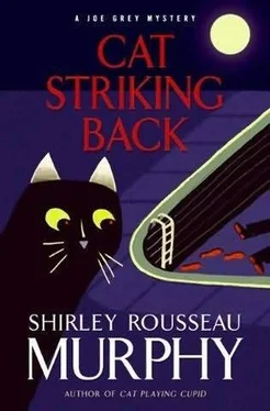 Shirley Murphy Cat Striking Back обложка книги