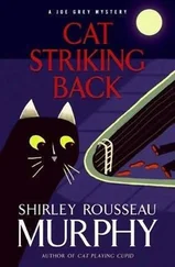 Shirley Murphy - Cat Striking Back