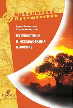 Чарльз Ливингстон Путешествия и исследования в Африке обложка книги