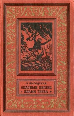 Эмма Выгодская Пламя гнева обложка книги