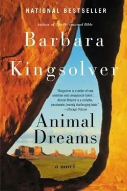 Barbara Kingsolver Animal Dreams обложка книги