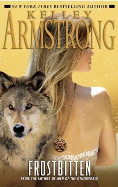 Kelley Armstrong Frostbitten обложка книги