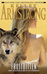 Kelley Armstrong - Frostbitten