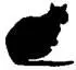 Cat On The Edge - изображение 22