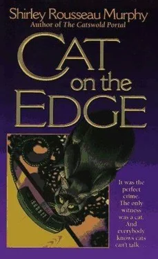Shirley Murphy Cat On The Edge обложка книги