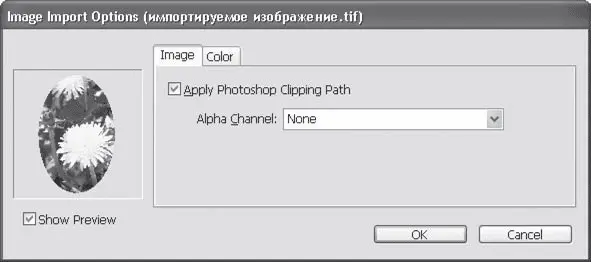 Рис 124 Диалоговое окно импорта изображения вкладка Image Изображение - фото 237