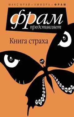 Макс Фрай Книга Страха обложка книги