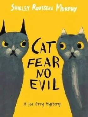 Shirley Murphy Cat Fear No Evil обложка книги