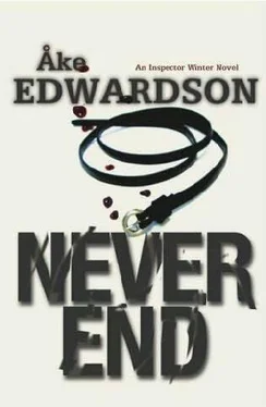 Åke Edwardson Never End