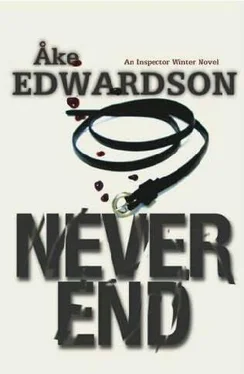 Åke Edwardson Never End обложка книги